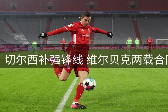 切尔西补强锋线 维尔贝克两载合同加盟斯坦福桥