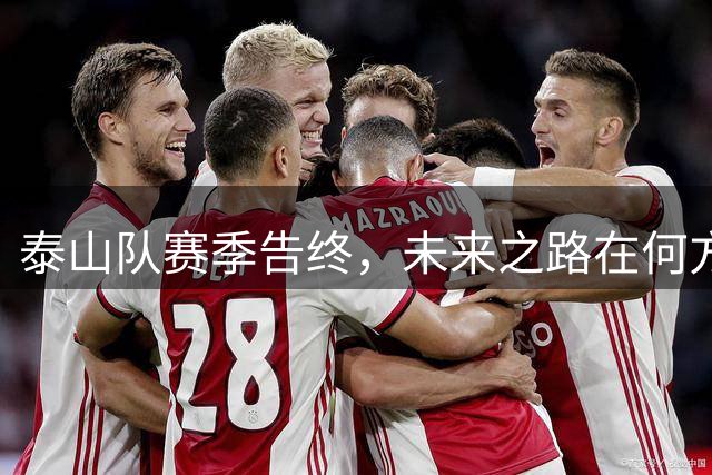 泰山队赛季告终，未来之路在何方？