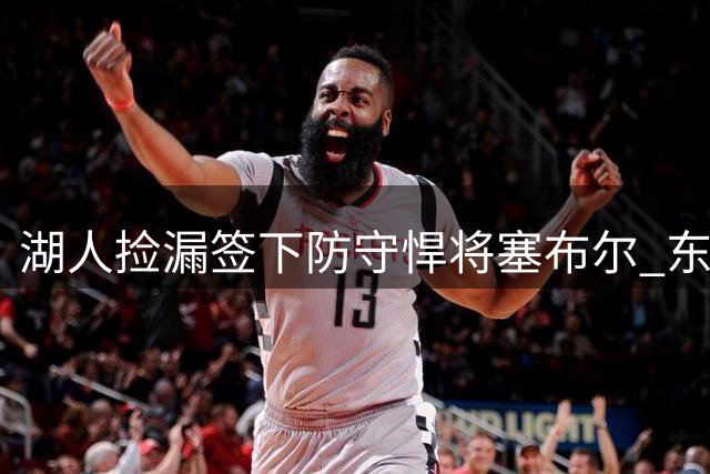 湖人捡漏签下防守悍将塞布尔 东契奇昔日心仪目标终赴洛城