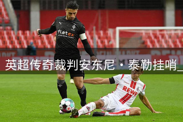 英超传奇裁判安东尼·泰勒挂哨 结束20年国际执法生涯