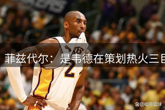菲兹代尔：是韦德在策划热火三巨头 他告诉我能弄来波什和詹姆斯
