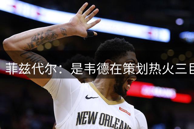 菲兹代尔：是韦德在策划热火三巨头 他告诉我能弄来波什和詹姆斯