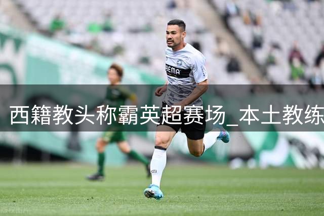 西籍教头称霸英超赛场 本土教练仅存三人