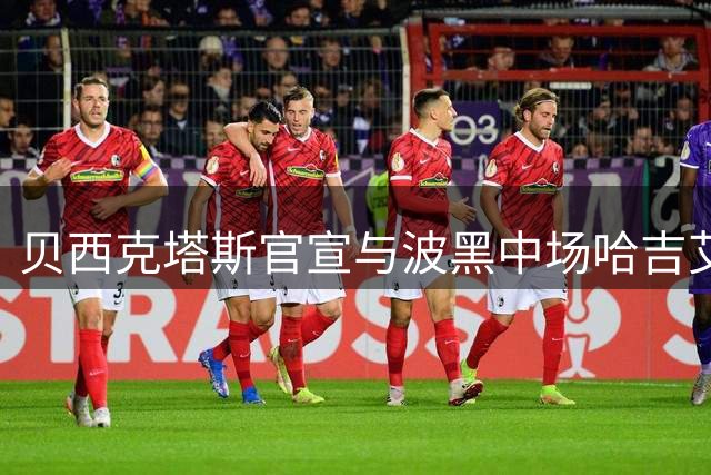 贝西克塔斯官宣与波黑中场哈吉艾哈迈托维奇提前解约