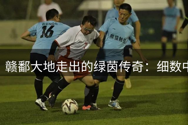 赣鄱大地走出的绿茵传奇：细数中超赛场十大江西籍球星