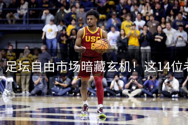 足坛自由市场暗藏玄机！这14位老将谁能迎来职业生涯第二春？